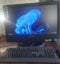 Loading Image 1 of 1