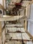 Sovereign of the Seas 1637 Model Ship Carousel 9