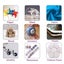 50ML Multi-Purpose Adhesive Glue B-7000, Ideal for Phone Table Repair Carousel 8