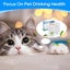 Cat Water Fountain Filter Carousel 2