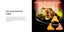 Panasonic 27L Inverter Convection Microwave Oven NN-CT56MBQPQ Carousel 7