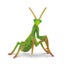 Loading Image 1 of 1