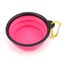 Pet Bowl Foldable Carousel 1