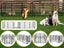 Heavy Duty Temporary Fence 640cm Double Door Carousel 1