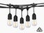 festoon light Carousel 2