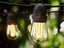 Festoon Light Carousel 7