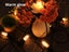 Festoon Light Carousel 5
