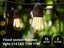 Festoon Light Carousel 1