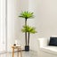 Loading Image 6 of 6