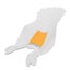 toddler rinse tub toddler bath support infant bathtub collapsible toddler bather Carousel 4