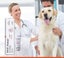 French Vetoquinol Pet Earfulin Ointment to remove ear mites ear odor itchy ears Carousel 3