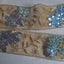 Sequin lace 5.5cm wide 4 meters Carousel 4