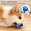Active Rolling Ball Anti-Anxiety Automatic Moving Ball Carousel 2