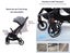 FlexGo Auto Folding lightweight compact pram & infant capsule & ISOFIX base Carousel 17