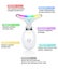 NEW Face Massager Neck Massager - NZ Stock Deal Afterpay Carousel 7