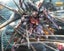 Loading Image 1 of 5