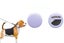 Loading Image 1 of 3