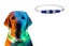 LED Light Up Pet Dog Collars USB Rechargeable Adjustable Size Pet Collar-Blue Carousel 1