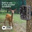 4K Live Stream Trail Camera 4G 30MP APP Clould Service Hunting Cameras 10000M... Carousel 5