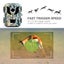 Mini Hunting Trail Camera 16MP 1080P HD Infrared Night Vision Waterproof Outd... Carousel 5