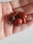 Red Jasper mushroom pendant Carousel 3