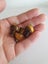 Tiger Eye mushroom pendant Carousel 3