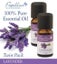 Essential Oil 2 Pack Lavender Carousel 2