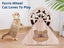 Cat Scratching Wheel Carousel 7