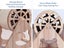 Cat Scratching Wheel Carousel 9