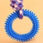 Supet Interactive Training Pet Toy Ring Spiked Ring Dog Teeth Carousel 5
