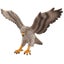 Loading Image 1 of 1