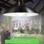2 Head Solar Pendant Light Carousel 6