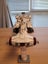 Blockade Runner Corvette Tantive IV UCS - 2905 pieces - MouldKing: Space Carousel 14