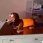 Toy Story Slinky Stretch Dog Portable Night Lamp Carousel 3