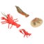 Loading Image 1 of 5