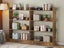 Bookshelf Carousel 3