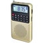 3 in 1 Portable Radio AM FM MP3 Player Voice Recorder Carousel 8
