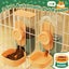 Automatic Cat Feeder Carousel 4