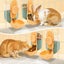 Automatic Cat Feeder Carousel 6
