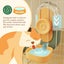 Automatic Cat Feeder Carousel 7