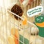 Automatic Cat Feeder Carousel 9