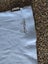 3 x BONDS size 00 tops Carousel 5