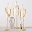 Female Mannequin Carousel 15