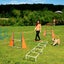 Dog Agility Training Equipment Carousel 5