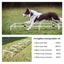 Dog Agility Training Equipment Carousel 11