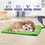 Heated Dog Bed 40 x 30cm Carousel 8
