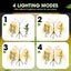 LED Grow Light Indoor Plants Full Spectrum Growing Lamp 420LEDs 200W Auto Timer Carousel 4