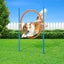 Dog Agility Equipment 7 Set Pet Obstacle Training Course Supplies Jump Hurdle Carousel 5