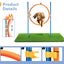 Dog Agility Equipment 7 Set Pet Obstacle Training Course Supplies Jump Hurdle Carousel 9
