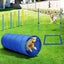 Dog Agility Training Exercise Equipment Set Carousel 4